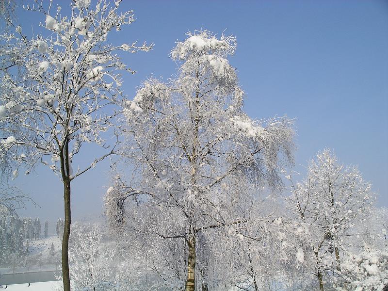 Winter 63.jpg